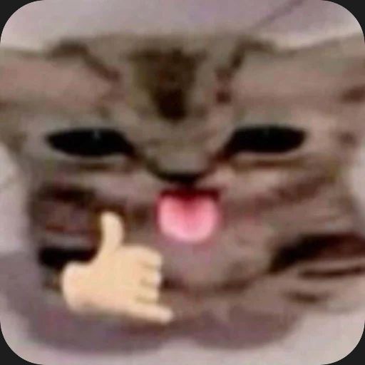 d0nkaura