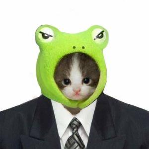 Seantato avatar