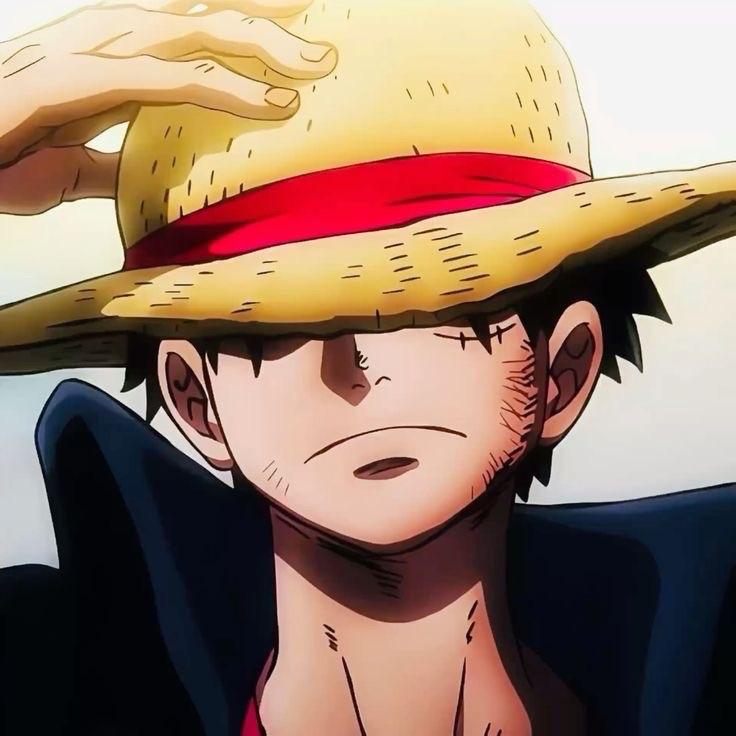 sok21 avatar