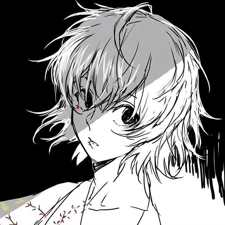 kompotexx avatar