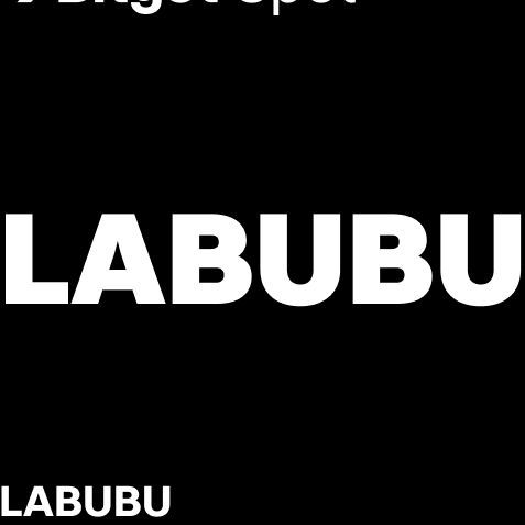 Labubu1312