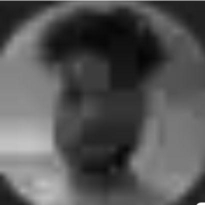 snowk1n avatar