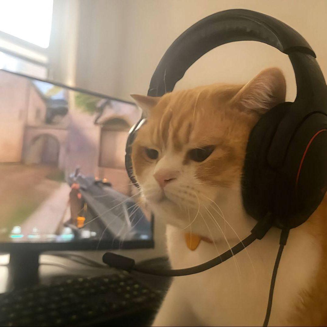 TTAPOBOquK avatar