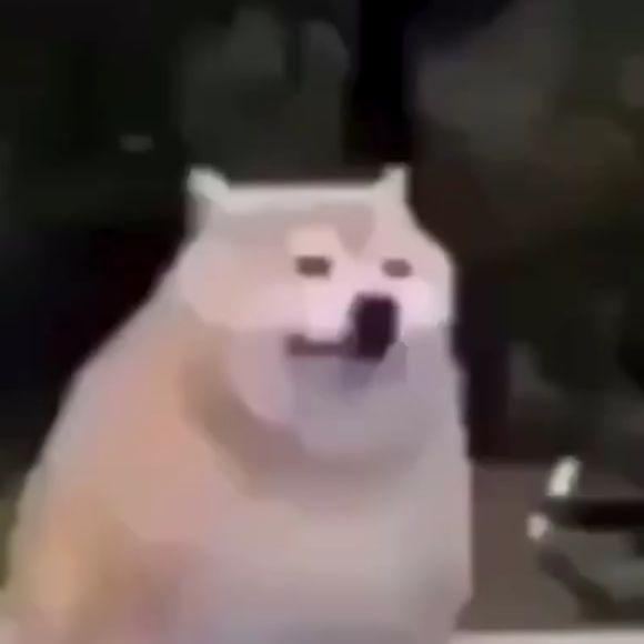 M4You