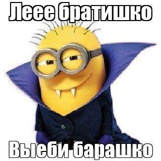 team_Apkof