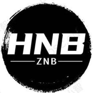 HNB-QJ1 avatar