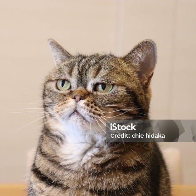 kienmotom123