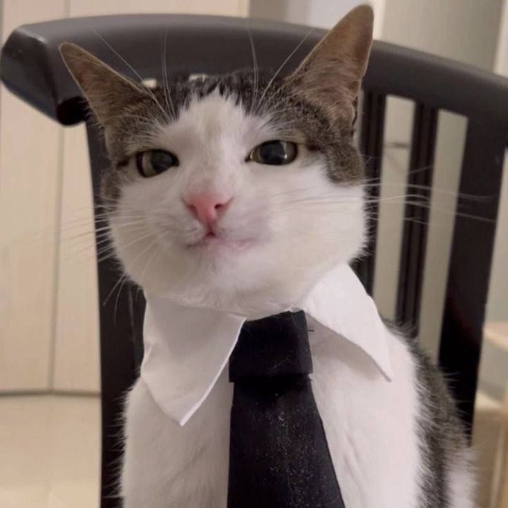 XqwertaX avatar