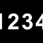 1234