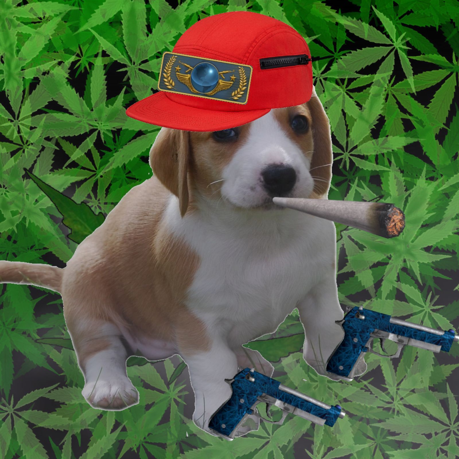 poprskusa