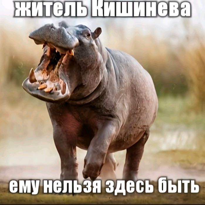 R3KV1EM666