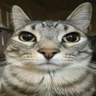 xtamplew avatar
