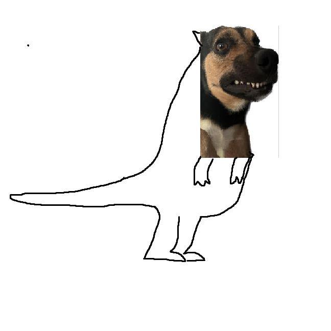 duckoMaister avatar