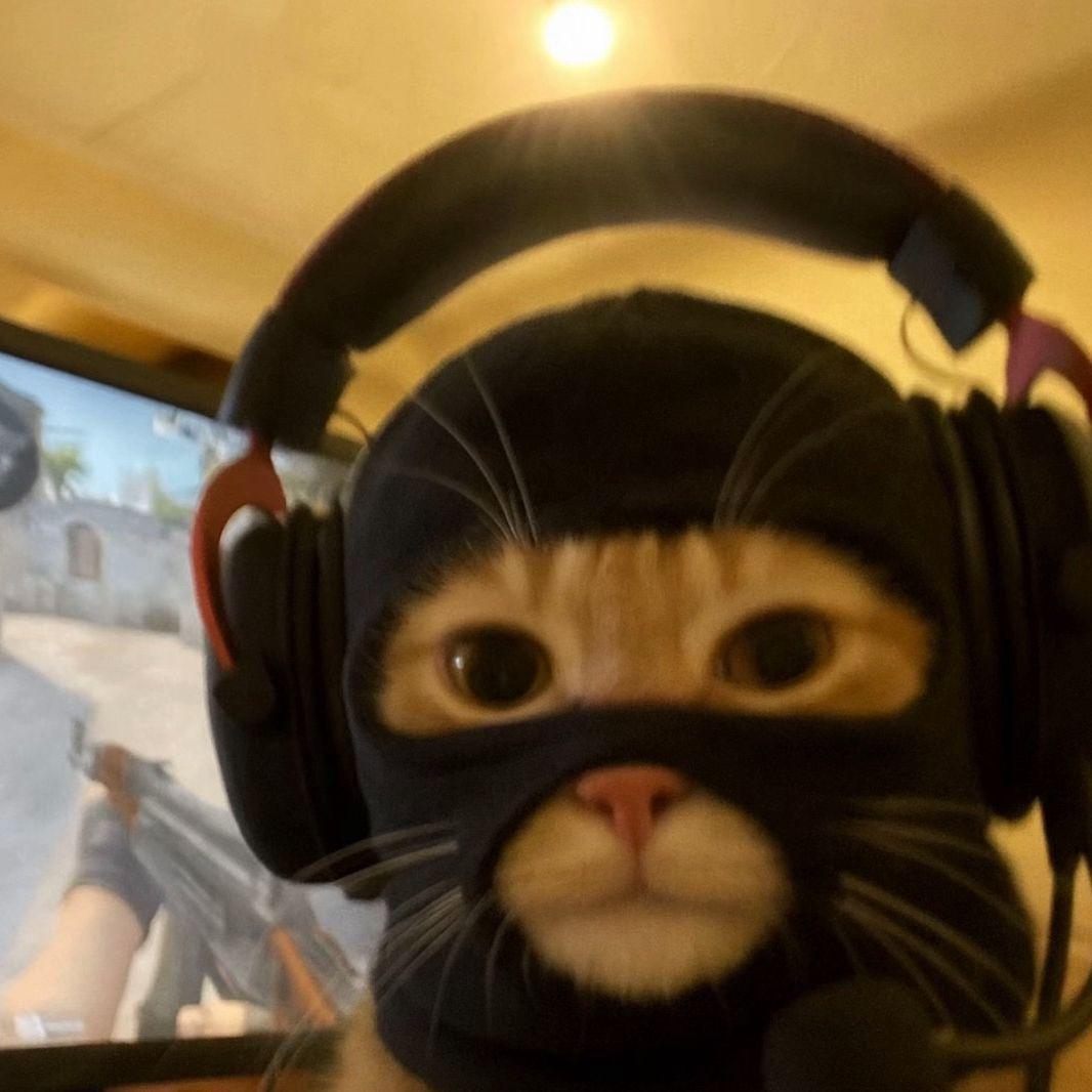 Faceit avatar