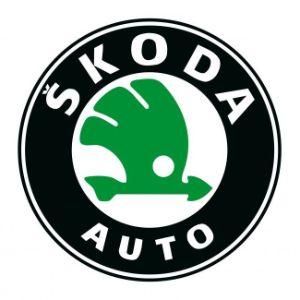 Player Skodadopapa avatar