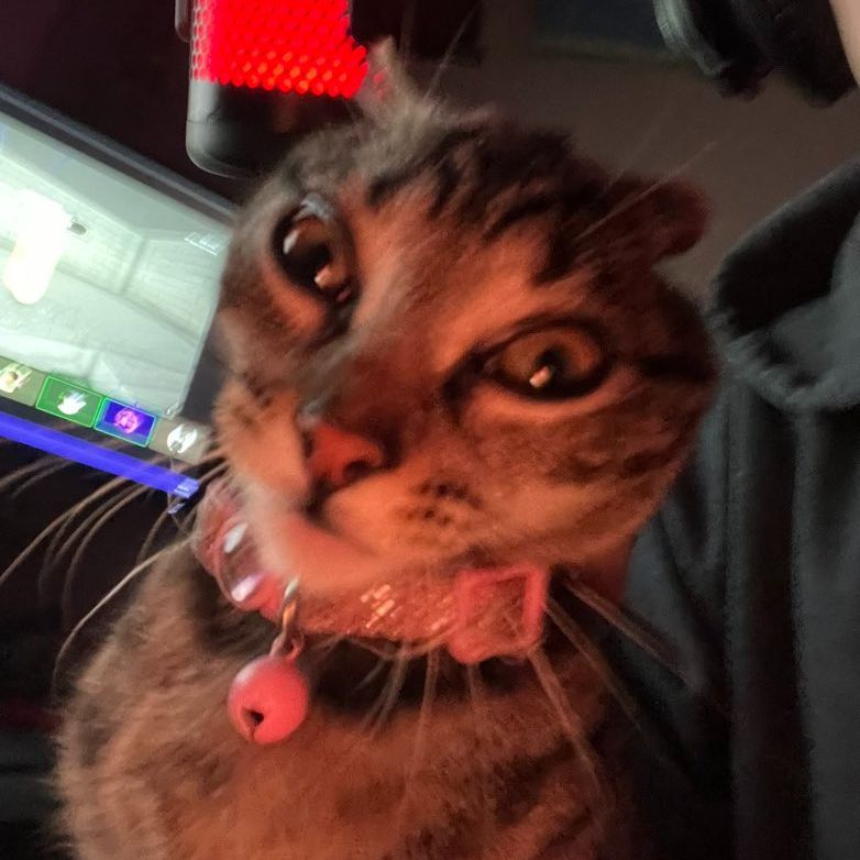 hxze avatar