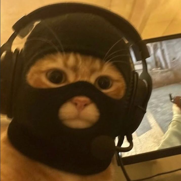 Blueline11 FACEIT avatar