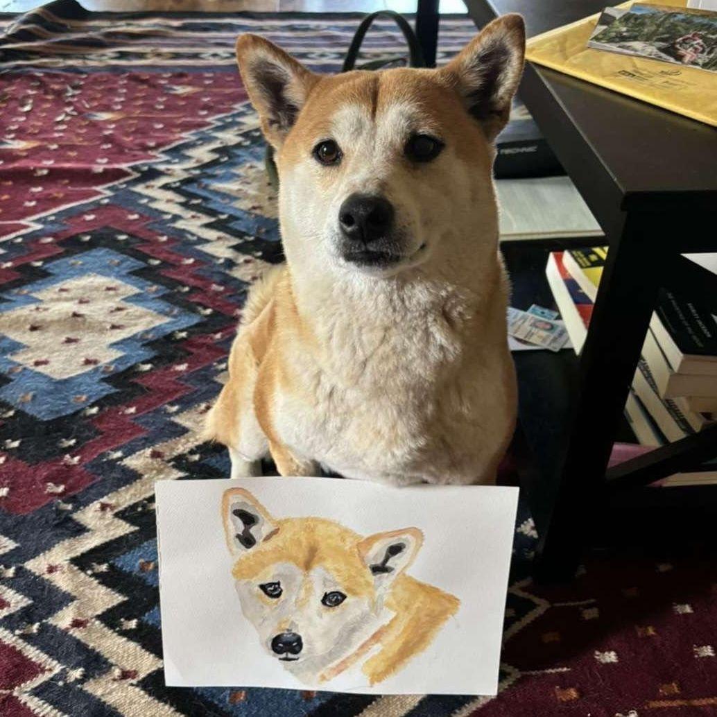 Doge560