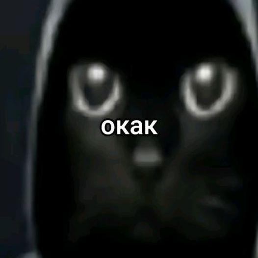 d3ndro avatar