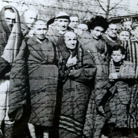 AuschwitzPL