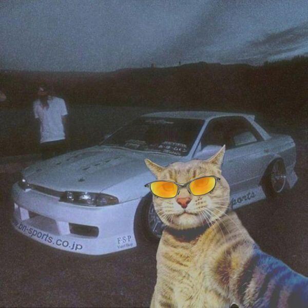 0tr1cAIA- avatar