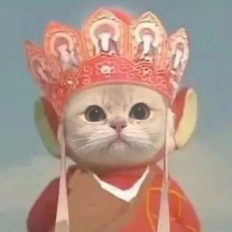 pussinboot1