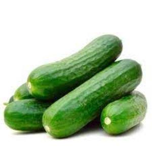 Cucumber