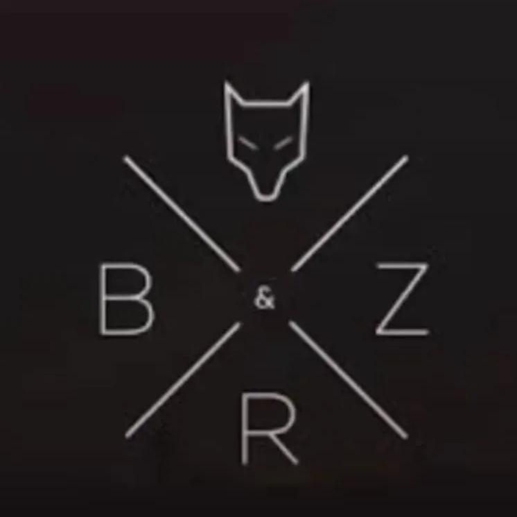 pro_brz avatar