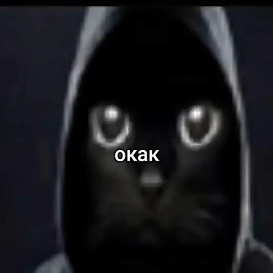 UberCapt avatar