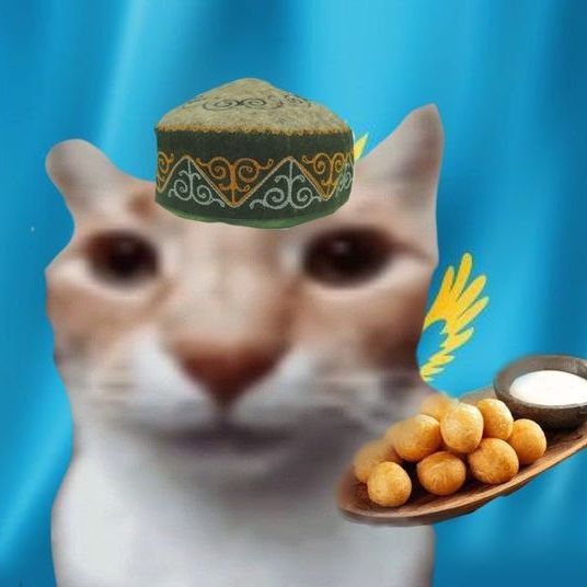 nelegalov17