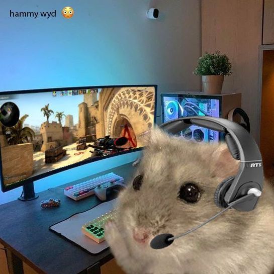 8mcL FACEIT avatar