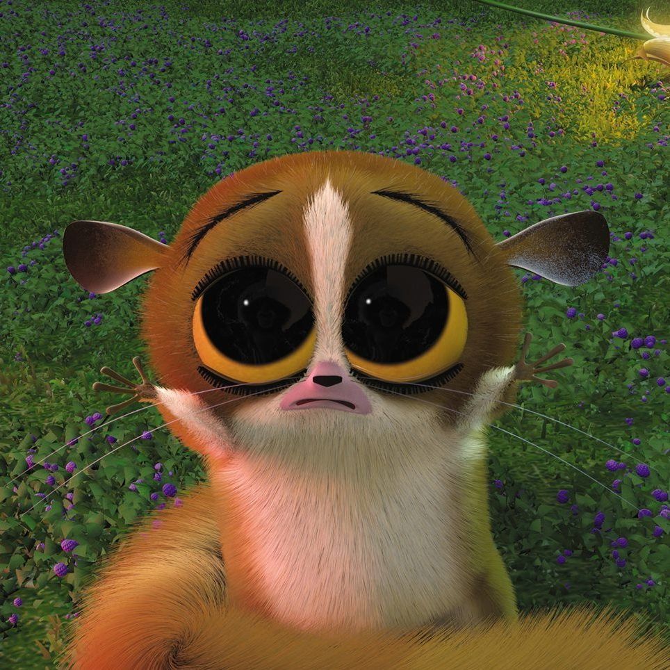 shunsuk3 avatar