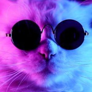 Mad_Cat5 avatar