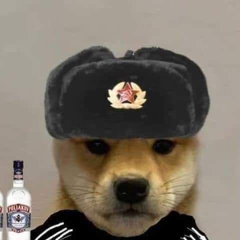 C0mradeDog avatar