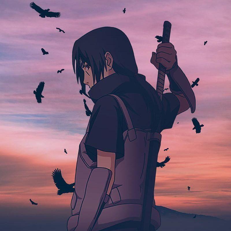 gavN avatar