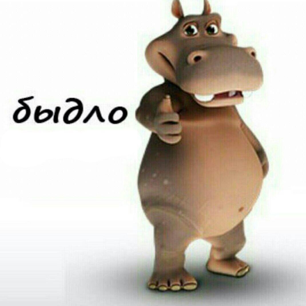 ZLOI_vandam