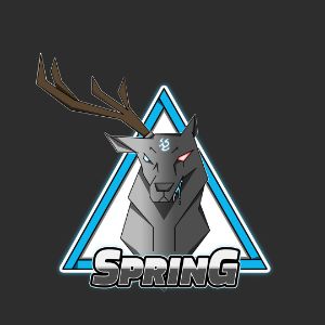 SprinGGaming