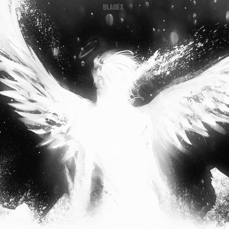 ___FLY__ avatar