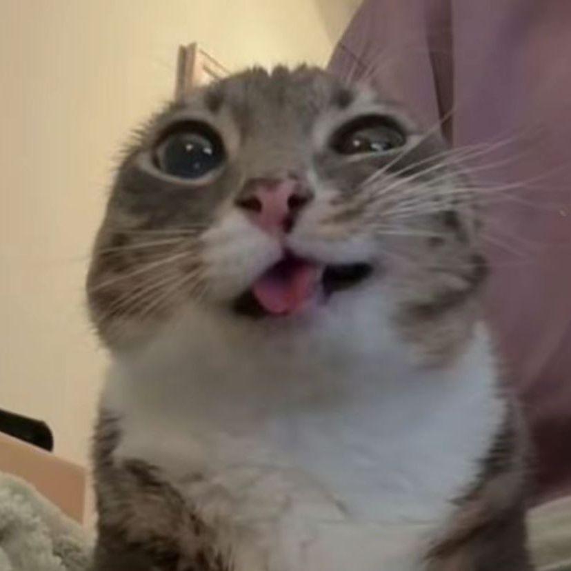 LOB4N0V avatar