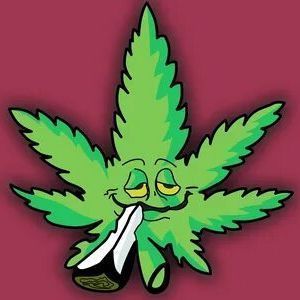 Faceit profile picture for @moderator