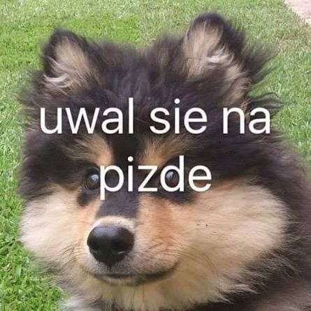 jT_hs