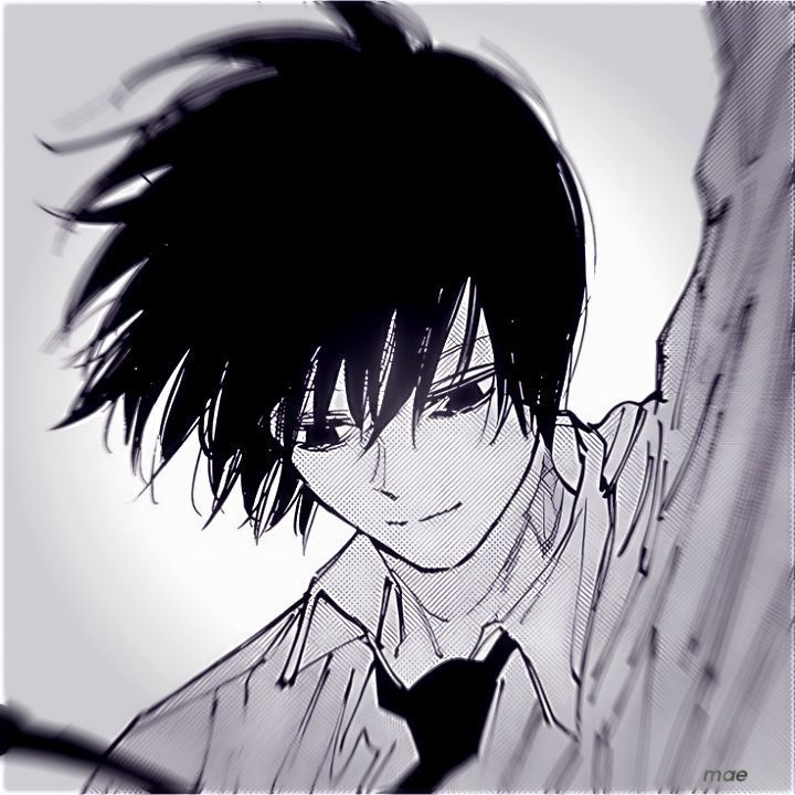 as1qs avatar