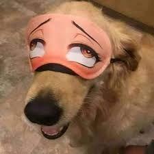 Machinuhh avatar
