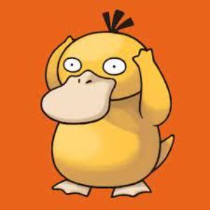 Rafixorek avatar