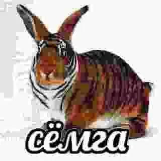 yuragucci228 avatar