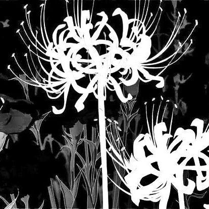 noisysounds avatar