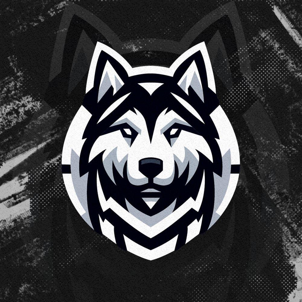 Huskies eSport