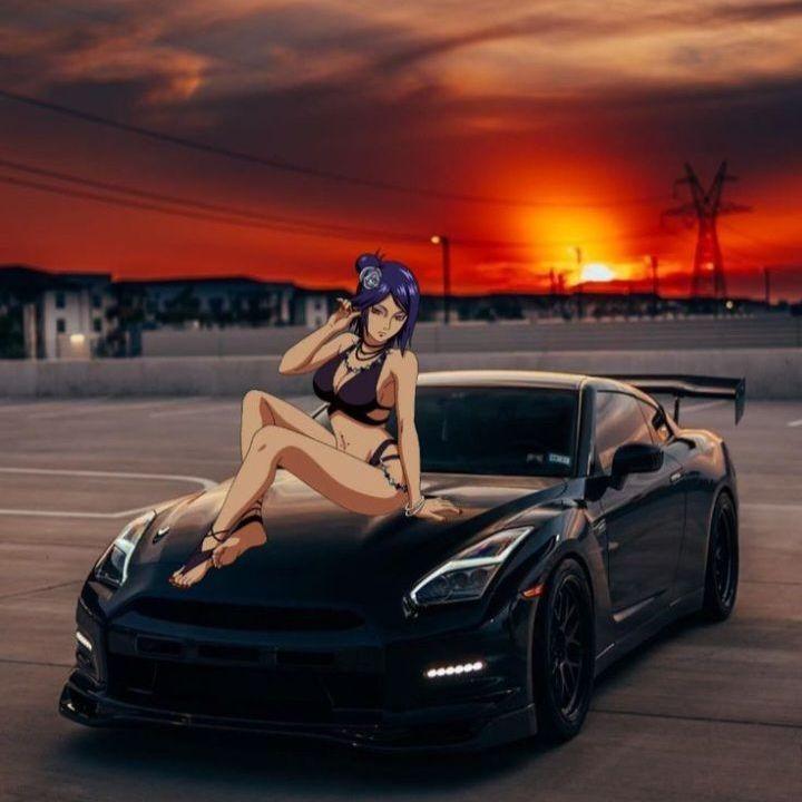 8181818 avatar