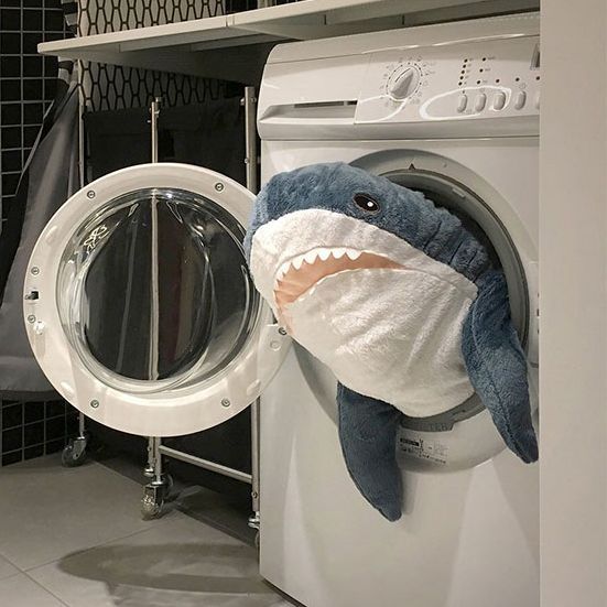 Sharkyyyyyya