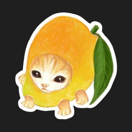 NotTheMango avatar